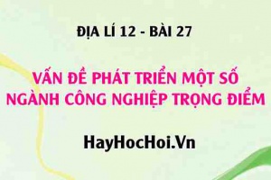Vấn đề phát triển một số ngành Công nghiệp trọng điểm - Địa lí 12 bài 27